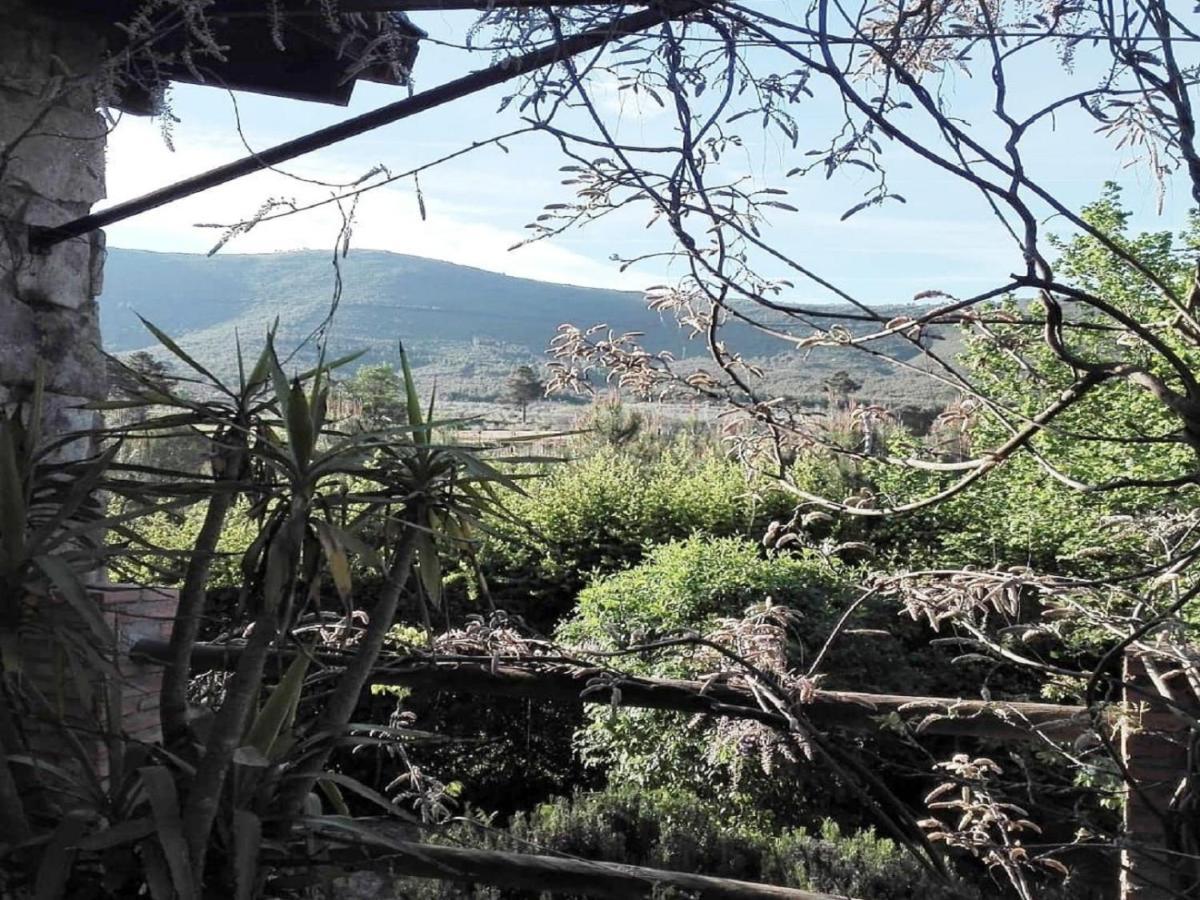 Naturaleza, Confort Y Vistas Inigualable En Casa Rural La Cumbre Gata Kültér fotó