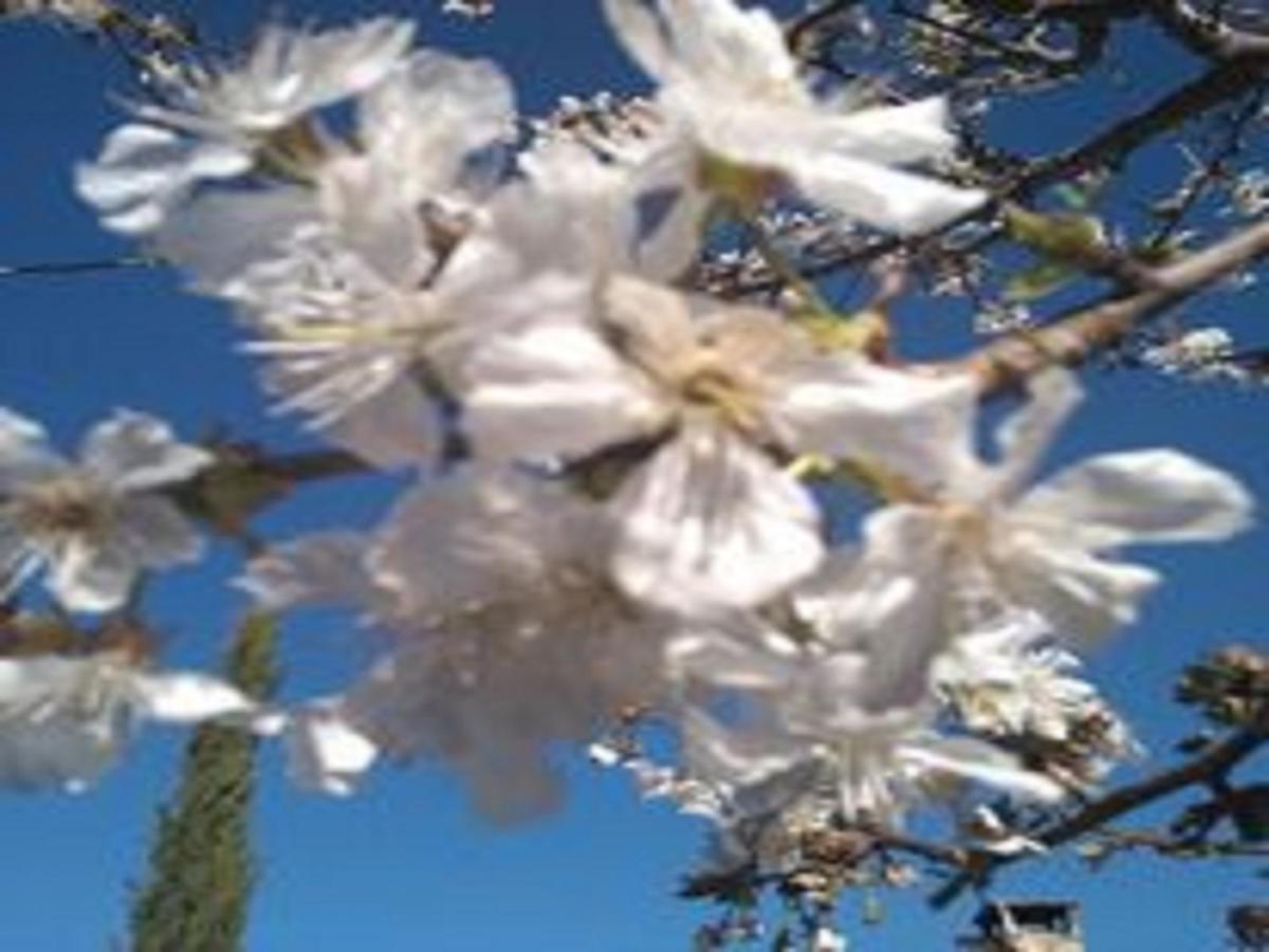 Naturaleza, Confort Y Vistas Inigualable En Casa Rural La Cumbre Gata Kültér fotó