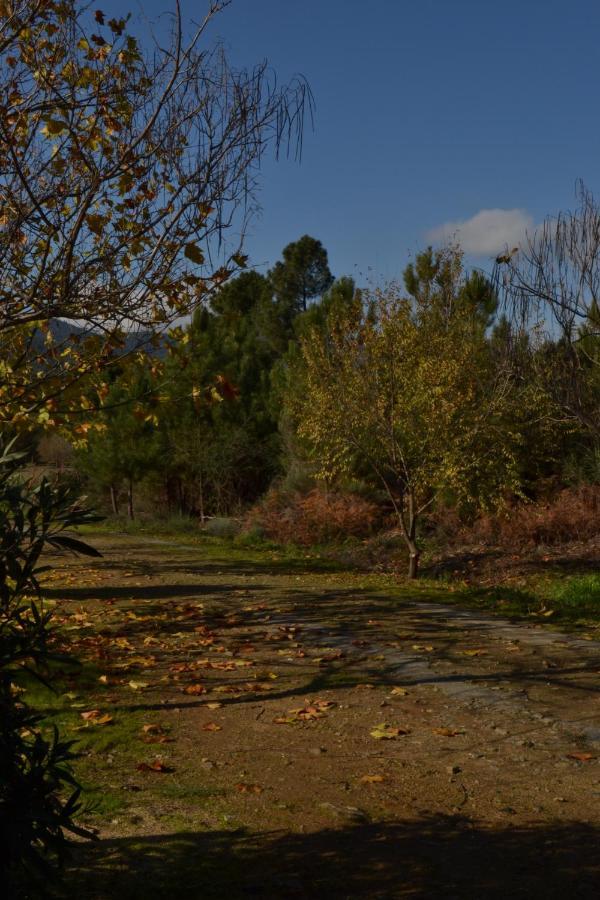 Naturaleza, Confort Y Vistas Inigualable En Casa Rural La Cumbre Gata Kültér fotó