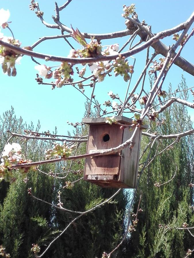 Naturaleza, Confort Y Vistas Inigualable En Casa Rural La Cumbre Gata Kültér fotó
